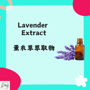 Lavender Extract 薰衣草提取液